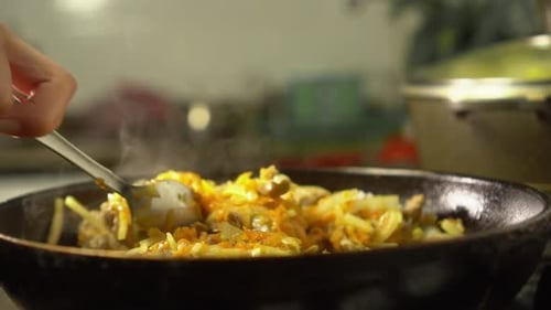 Frying pan with meat and vegetables close-up. Female rka mixes contents.