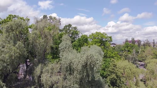 Park In The City Aerial