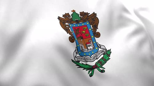 Realistic Waving White Flag with Detailed Coat of Arms Animation