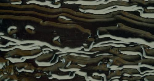 Makroaufnahme aus Acrylglas mit abstrakten Figuren darauf. Die Kamera schwenkt über das Glas.