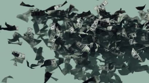 Fluid Animation of Falling Dollar Bills
