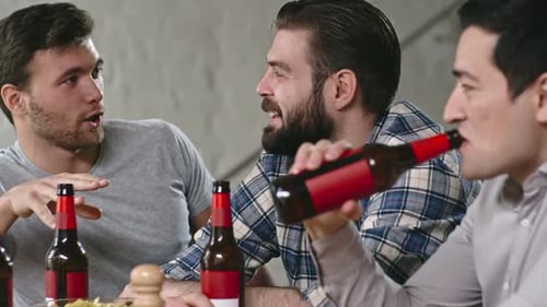 Three Friends Chatting and Drinking Beer Together