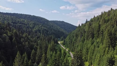 Aerial Forest and Mountain Footage V6