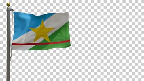 Roraima State Flag Waving Seamless Loop