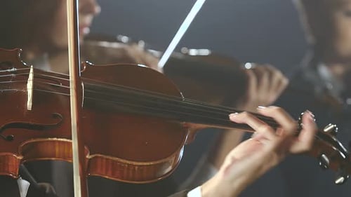Close Up of Musician Playing Violin