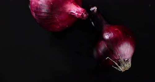 Two Fresh Red Onions on a Black Background