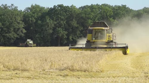 A Combine Harvester Comes Down a Grain Field, Another Combine Harvester Stands in the Background