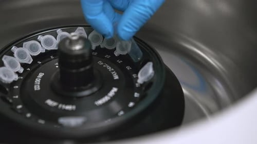 Gloved Hand Adds Vials to Centrifuge
