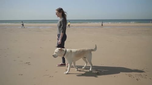 Slow Motion Shot of Young Woman Strolling with Labrador on Beach