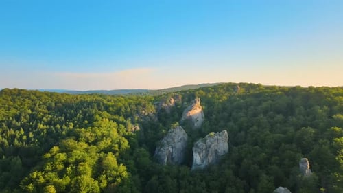 Lebendiger Nebelabend über dunklen Waldbäumen und großen Felsformationen bei strahlendem Sommersonnenuntergang
