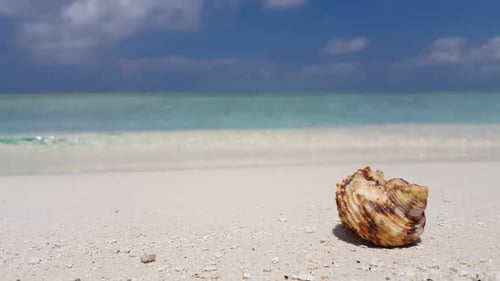 Aerial drone shot travel of perfect shore beach vacation by blue ocean and white sandy background of