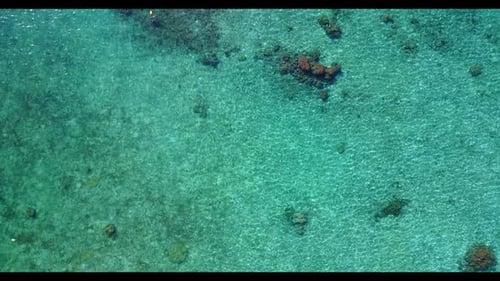 Aerial drone shot nature of marine seashore beach wildlife by clear lagoon with white sandy backgrou