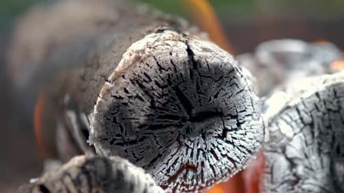 Close up of brightly burning wooden logs with yellow hot flames of fire.
