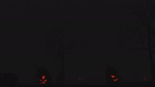 Halloween Spooky Cemetery Night with Glowing Jack-o'-Lanterns