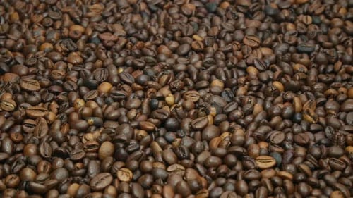 Roasted Coffee Beans Filling the Frame