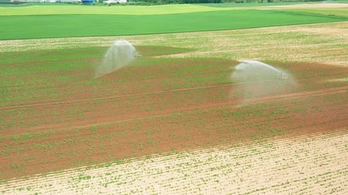 Aerial Footage of Automatic Irrigation Sprinkle Watering System in the Agriculture Field