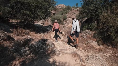Fotografos de naturaleza