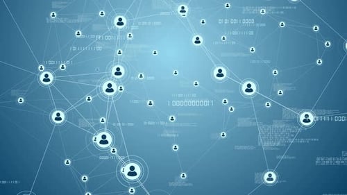 Digital Network Connections with User Avatars and Data Flow