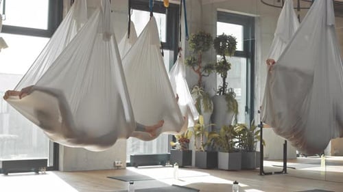 Young Adults Doing Anti-Gravity Yoga in Hammocks
