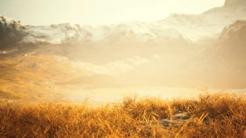 Dry Grass and Snow Covered Mountains in Alaska