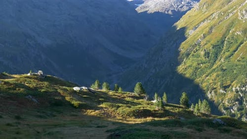 Alpine landscape high altitude mountain range and glaciers, green valley, snowcapped mountain ridges