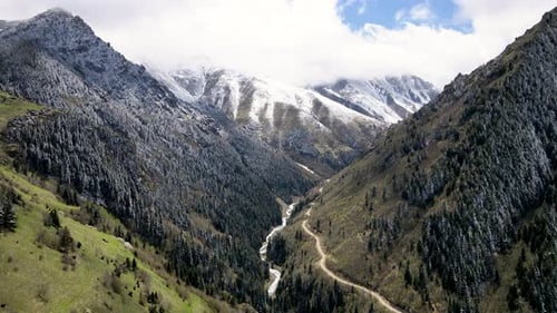 Snow Covered Pine Forests And Alpine Meadows