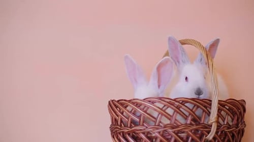 Ostertag und süßer Hase in einem Korb