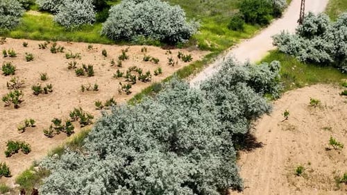Horseback riding in Cappadocia aerial view 4 K