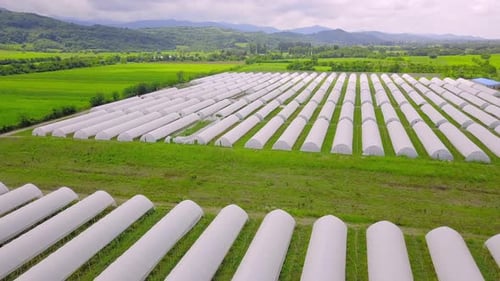 Aerial View of White Greenhouses in Rural Landscape