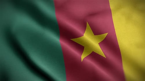 Waving National Flag of Cameroon Seamless Loop