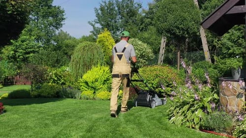 Man Mows Lawn in Beautiful Summer Garden