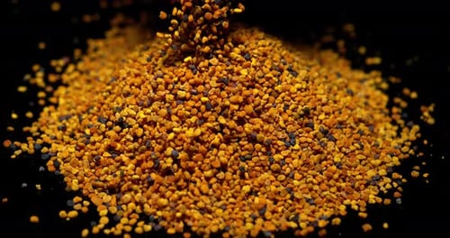 Bee Pollen Falling on Dark Background in Close Up