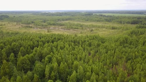 Small Lake In The Forest 12