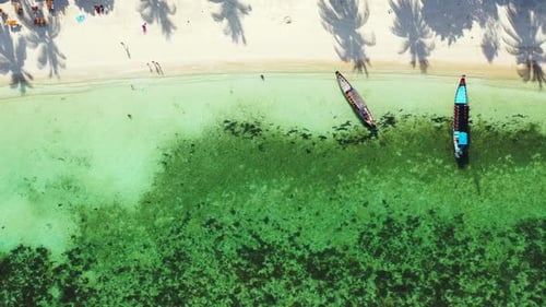 Aerial above travel of idyllic bay beach time by blue water with white sandy background of journey n