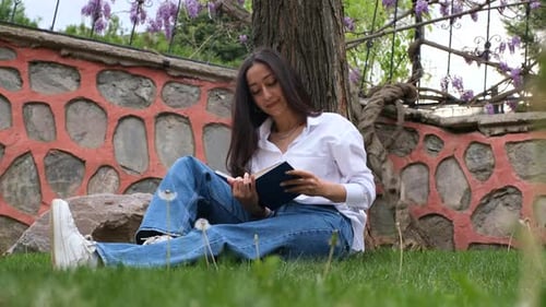 Woman Reads Book Under Blooming Tree in Park