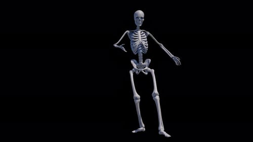 Hallowen Skeleton Tanzschleife 4K