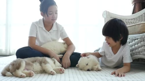 Children Cuddle with Adorable Puppies Indoors