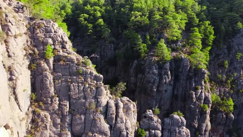 Aerial Flight Over a Huge Impressive Canyon A Beautiful Geological Wonder with Green Trees