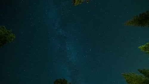 Sterne bei Nacht