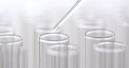 Pipettieren Sie die Probe in das Teströhrchen