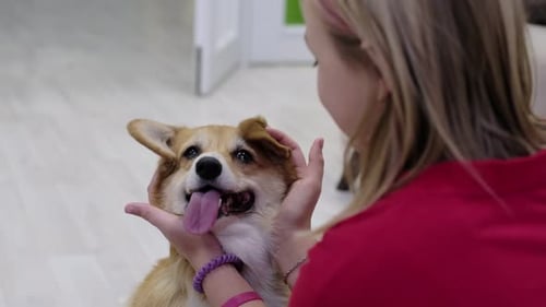 Girl Pets Happy Dog in Home Interior