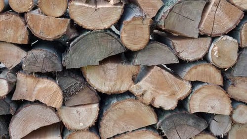 Close Up of Stacked and Split Firewood Logs