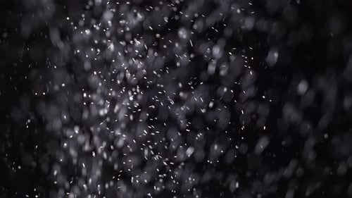 Symbol des neuen Jahres und der Weihnachtsfeiertage Echtes Filmmaterial von frostigen Schneeteilchen