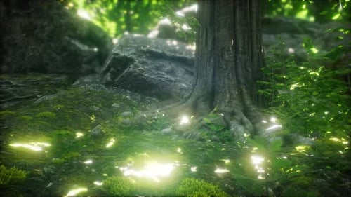 Malerischer Wald aus frischen grünen Laubbäumen, umrahmt von Blättern