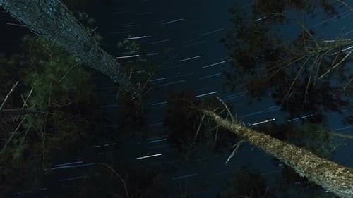 Star Trails
