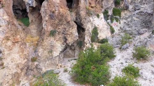 Limestone Cliff with Greenery