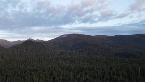 Flying over a forest in Oregon