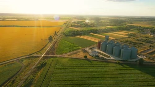 Modern Grain Silos At The Field Of Blooming Sunflowers 13