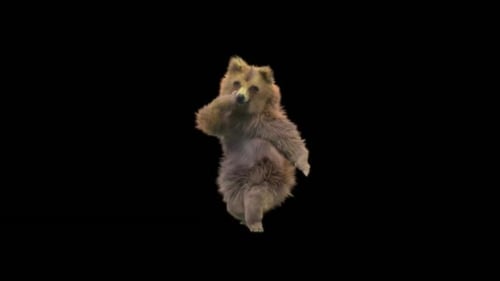 112 Bear Dancing HD