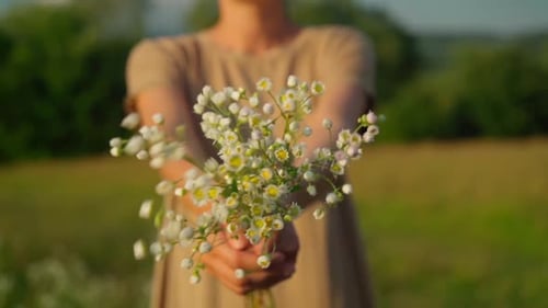Unrecognizable Female with Chamomiles Outdoors